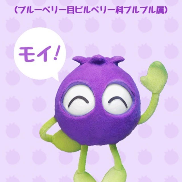 ブルーベリーアイ　デラックス