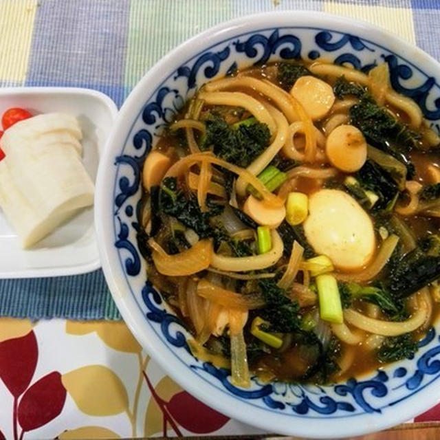 ベルリンから送られて来た Ebey で買ったスマホのケース～ 夫だけのカレーうどんの夕飯