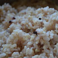 【レシピ】五分づき米の炊き方（圧力鍋）