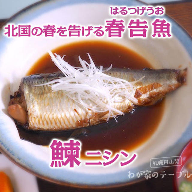 「春告魚」北海道代表のニシンの煮付け