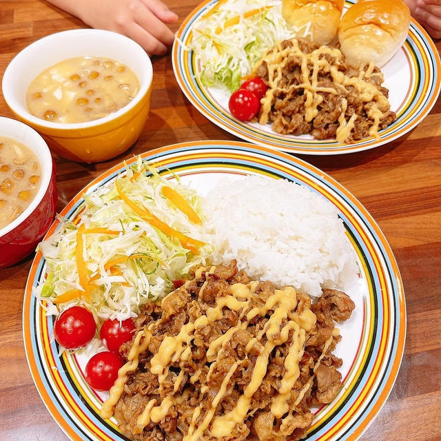 晩御飯はケバブ風プレートです！！