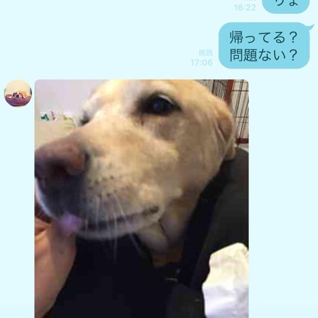 昨日の出来事を取り留めもなく