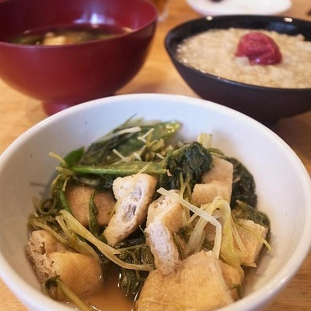 理想の朝食。水菜と油揚げのおひたし｜どんな料理でもおいしく写す魔法のカメラ！miil