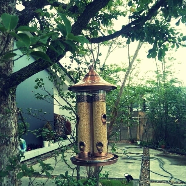また出た!!これはいったい何でしょう～？と夏の醍醐味♪BBQに花火に虫取り～(#^.^#)♪