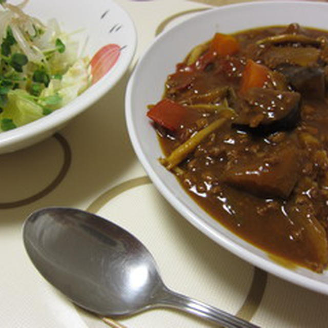 夏野菜ごろごろカレー＆もやしとカイワレのさっぱりサラダ