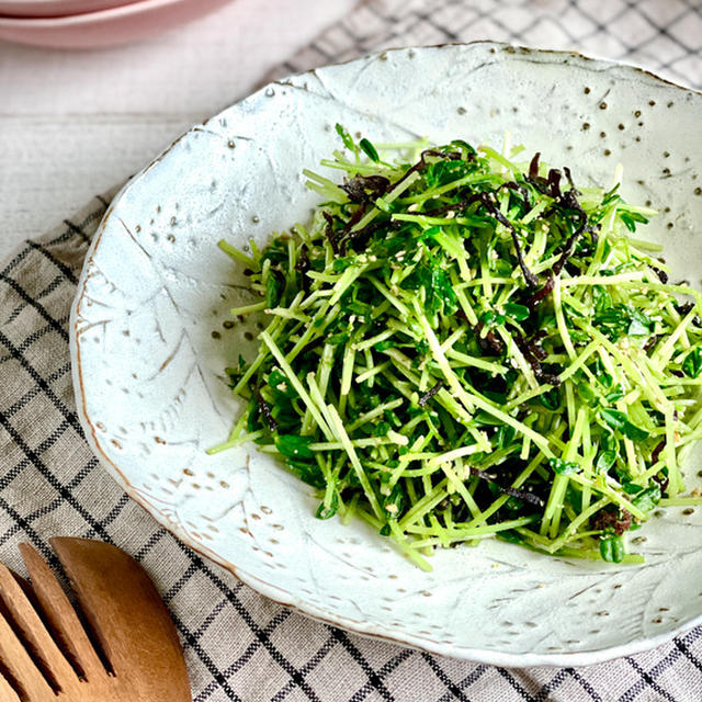 安定価格！節約代表選手お野菜「豆苗」でつくる材料３つの簡単おかず