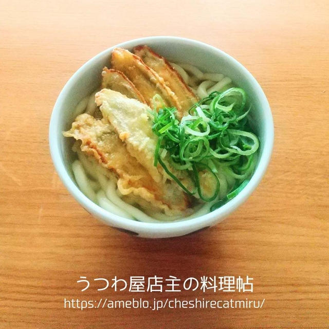 福岡名物ごぼう天うどん