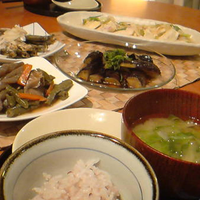 春の野菜消費週間始まりました♪