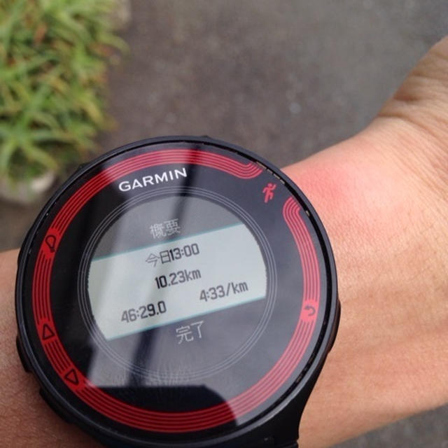 今日は10km走りました。