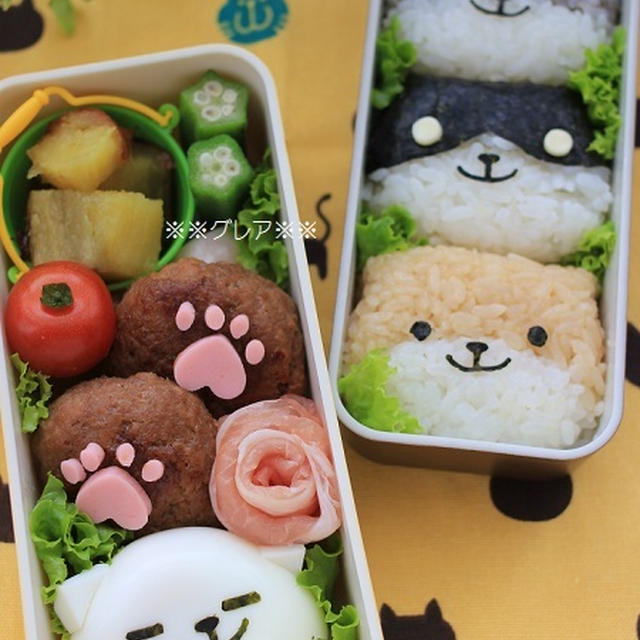 遠足★ねこあつめ弁当