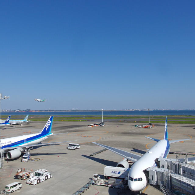 阿波から土佐へ初づくし ～四国の未知へいざ行かん 1日目 ①～