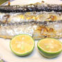 It’s Autumn in Japan! : Popular fish in the season “Sanma” (Autumn Sword Fish)