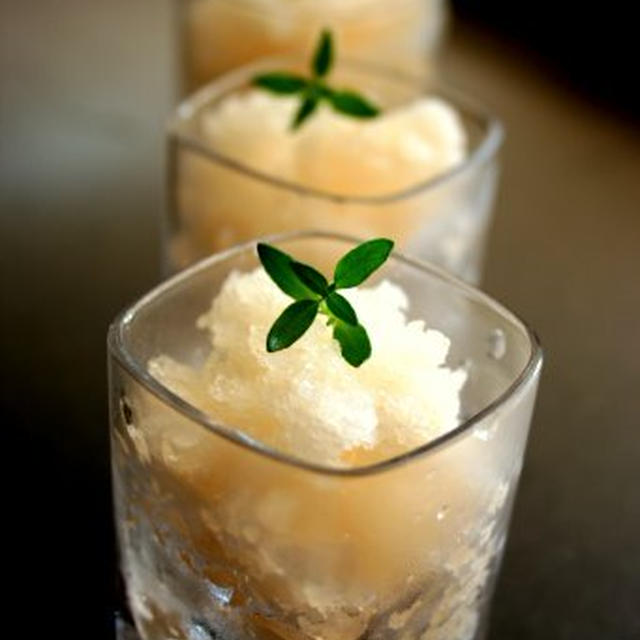 Grapefruit and White Wine Sorbetグレープフルーツと白ワインのソルベ