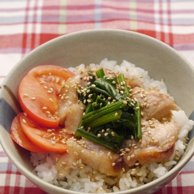 柔らかお肉のしっかり丼