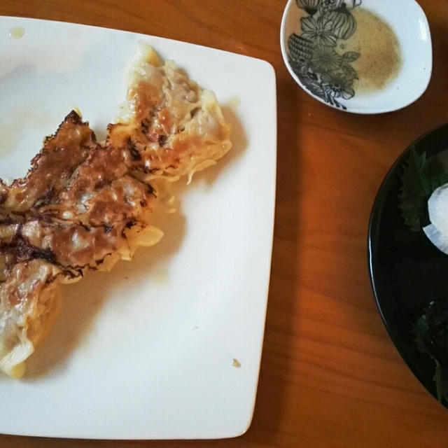 餃子をひたすら作って食べました＊仕事での悩みや不安もチラッと･･･