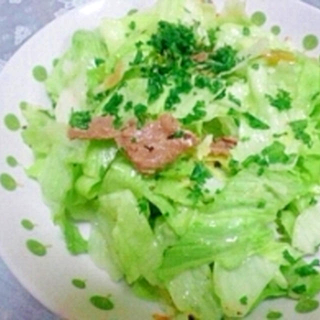 残り牛焼肉deシャキッとサラダ