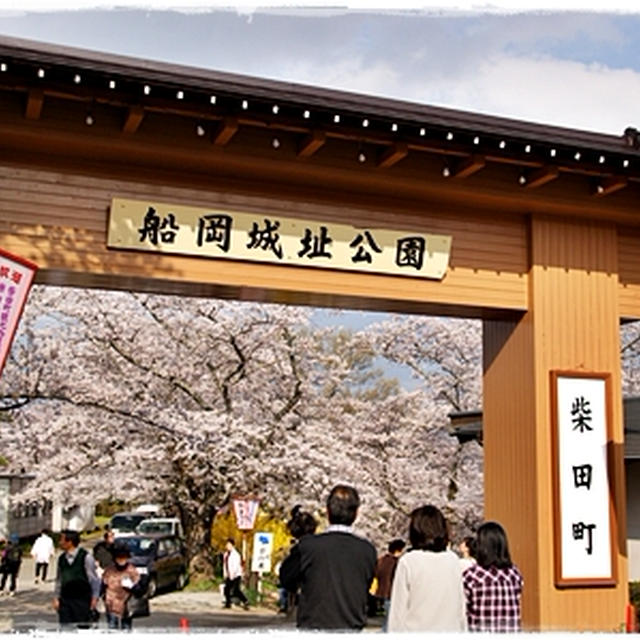 ■桜の海原を見渡せる場所■船岡城址公園