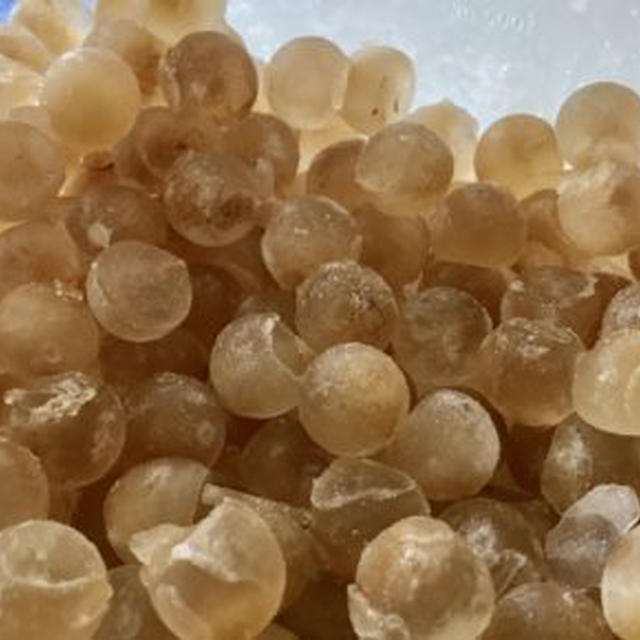 麦茶を大量に作りたければお茶ポットを買い替えるべし！洗いやすさ重視で回転率を上げるのだ。