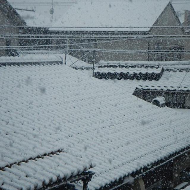 雪と柿酵母でパン作り
