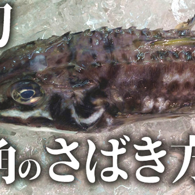 八角（はっかく）トクビレのさばき方と骨切り