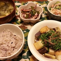 茄子と厚揚げの揚げ浸しと息子の寝かし付け