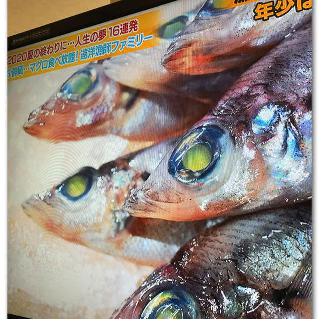トロボッチの画像提供 〜家、ついて行ってイイですか？〜