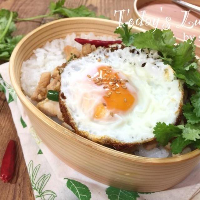 パパの✳︎ガパオ風エスニック炒めのっけ弁当♡