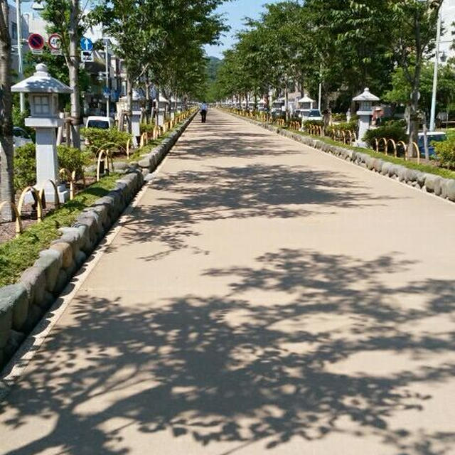 ある日の段葛(だんかずら)