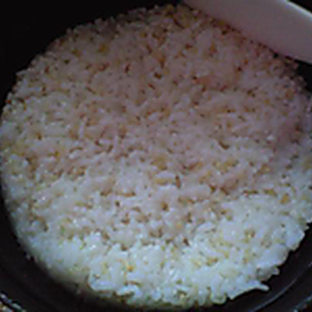 湯立てで白米（８０６）。。。石川県産加賀米コシヒカリ白米（こっちは新米）（あいざわ米店）と宮城県産特別栽培米「花きらり」玄米（昨年の）（あいざわ米店）