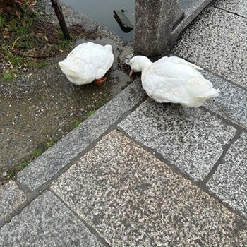 まだまだ初心者