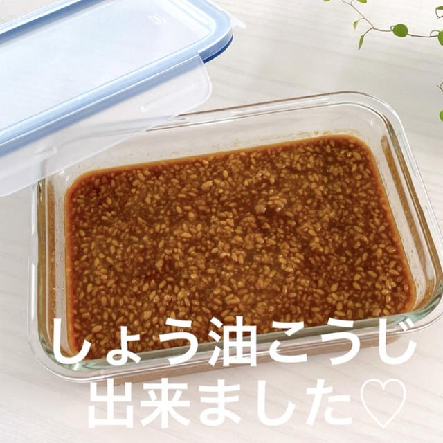 しょうゆこうじできました。と まずは究極の卵かけごはん。