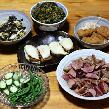 今季初収穫の自家栽培インゲンの茹で上げ、キュウリ、ハツカダイコン入り肉野菜炒めほか。