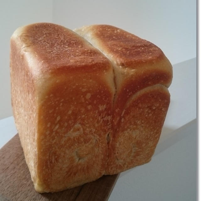 高を括ってはいけない…角食と将来は呑み助！？