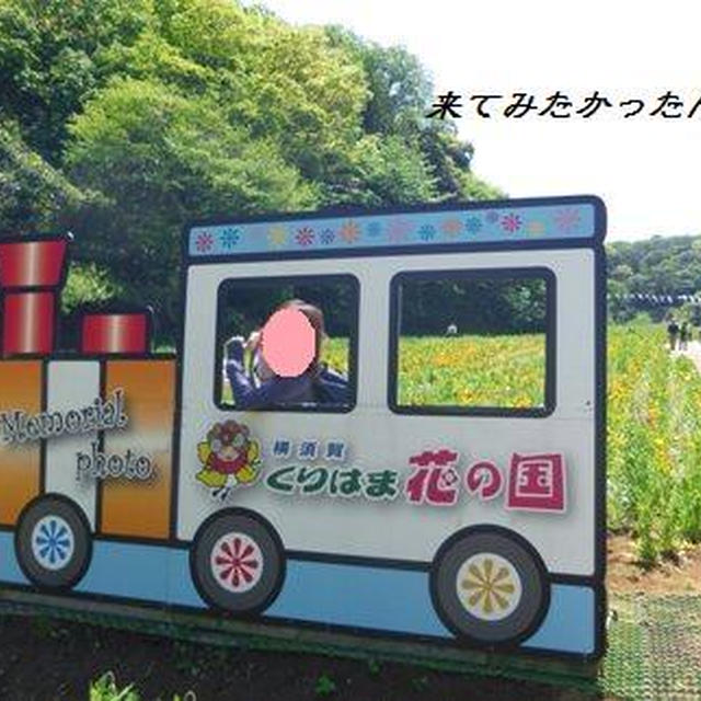 くりはま花の国ですっかりリフレッシュ