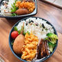 今日のお弁当/ど素人の欲張り家庭菜園
