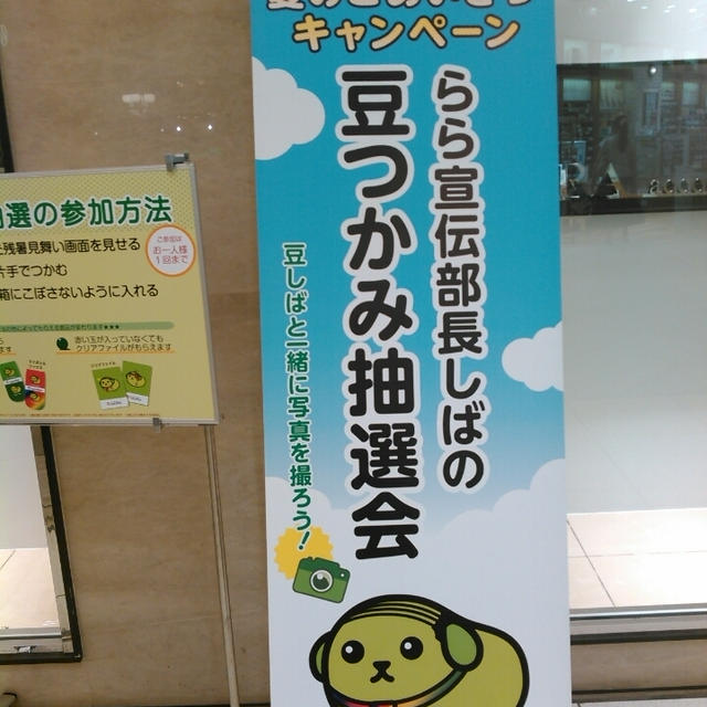 明日まで！豆しば☆豆つかみ抽選会～ラゾーナ川崎