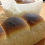 自家製酵母パン初めて膨らむ