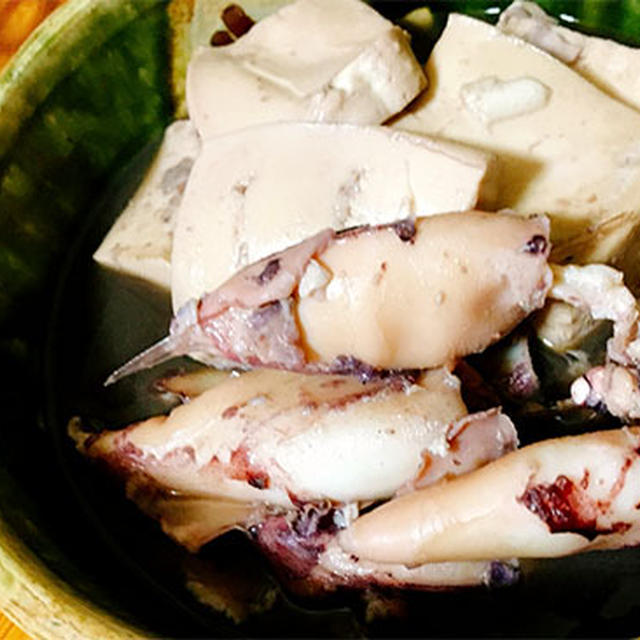 やりいかと豆腐の煮物