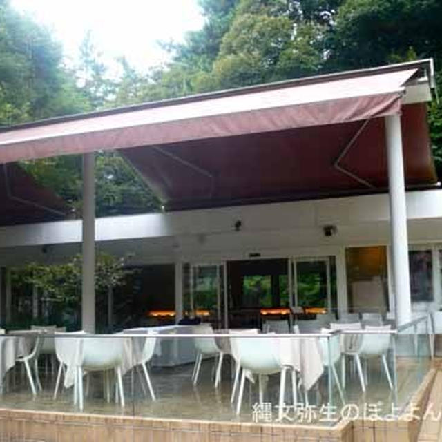 【白金台】cafe 茶洒 kanetanaka　１年ぶりに行きました♪