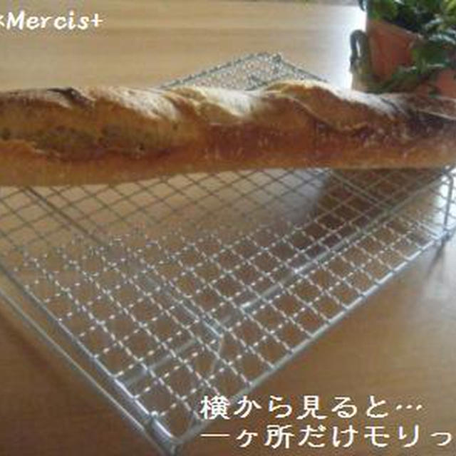 Ｇレーズン液バゲ★帯び切れの原因★
