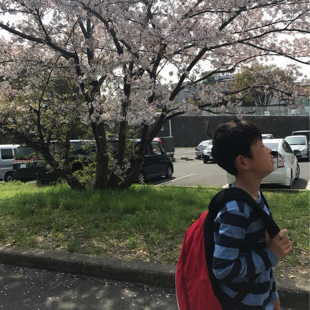 10年越しの春がきた！息子頑張ったね♪今の私があるのは息子のおかげ！