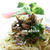 あさりと菜花のパスタセット