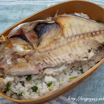 カイワリ干物弁当