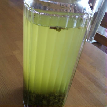 水出し緑茶