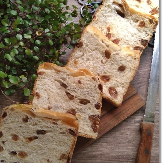 【レーズン角食】パン作りは無限ループ(笑)なんでそうなるの！？ママ友さんに教えてもらったこと