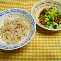 さっぱり納豆どんぶり