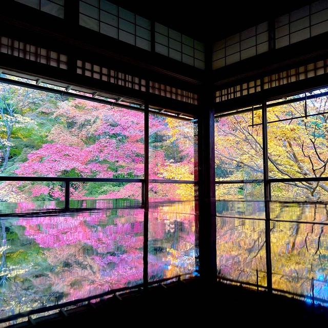 名所の予約争奪戦⁈ と 絶景すぎる瑠璃光院。