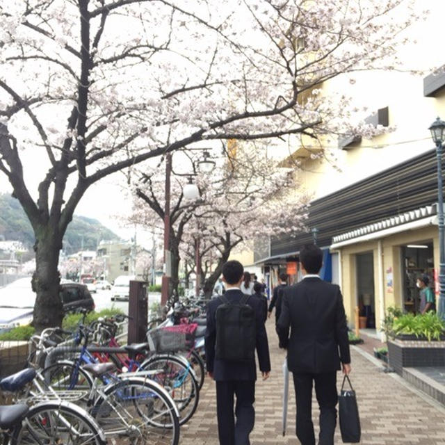 長男の入学式！二人そっくりな後ろ姿に感無量！