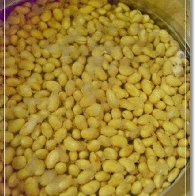 自宅レッスン！？自家製味噌を作りまひょ♪