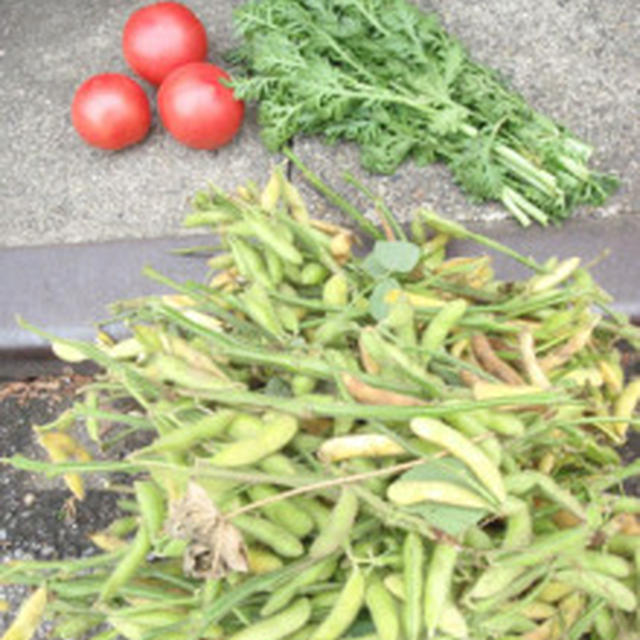 枝豆の煮豆